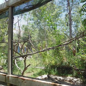 Americas - Walk-Through Aviary