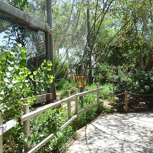 Americas - Walk-Through Aviary