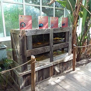 Nature's Nightmares - Temporary 2010 Exhibit