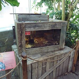 Nature's Nightmares - Temporary 2010 Exhibit