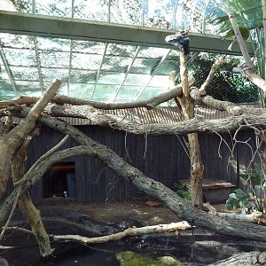 Nature's Nightmares - Temporary 2010 Exhibit