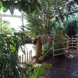 Nature's Nightmares - Temporary 2010 Exhibit