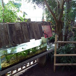 Nature's Nightmares - Temporary 2010 Exhibit