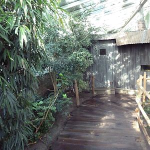 Nature's Nightmares - Temporary 2010 Exhibit