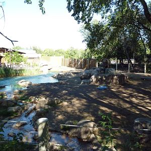 African Elephant Exhibit