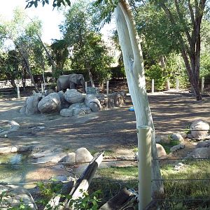 African Elephant Exhibit