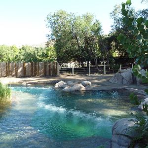 African Elephant Exhibit