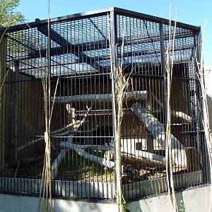 Primate Building - Mandrill Cage