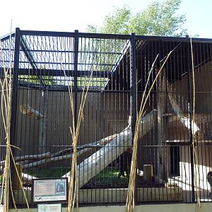 Primate Building - Mandrill Cage