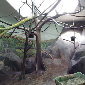 Primate Building - White-Handed Gibbon Exhibit