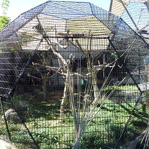 Primate Building - Rotation Cage