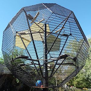 Primate Building - Rotation Cage