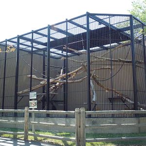 Primate Building - Schmidt's Guenon Exhibit