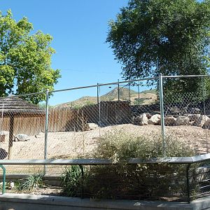 Aldabra + Leopard Tortoise Exhibit
