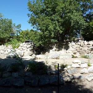 Empty African Savanna