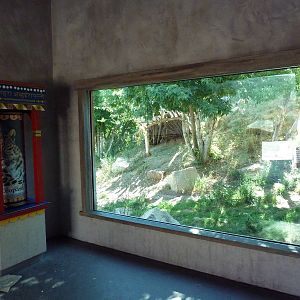 Asian Highlands - Amur Leopard Exhibit