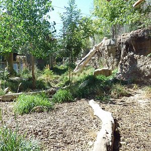 Asian Highlands - Siberian Lynx Exhibit