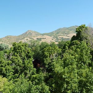 Asian Highlands - View Of Countryside