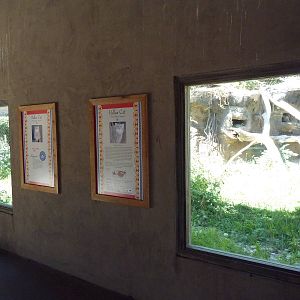 Asian Highlands - Pallas' Cat Exhibit
