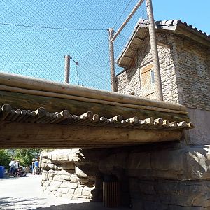 Asian Highlands - Amur Tiger Exhibit Bridge
