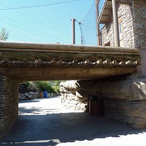 Asian Highlands - Amur Tiger Exhibit Bridge