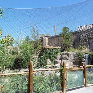 Asian Highlands - Snow Leopard Exhibit