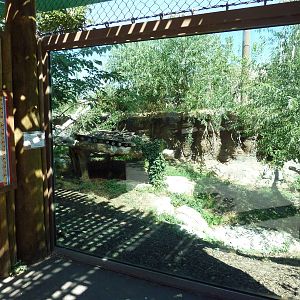 Asian Highlands - Snow Leopard Exhibit