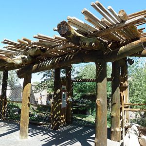 Asian Highlands - Snow Leopard Exhibit