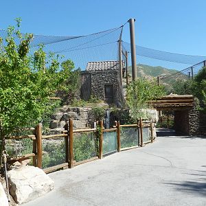 Asian Highlands - Snow Leopard Exhibit