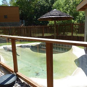 Siamese Crocodile Exhibit