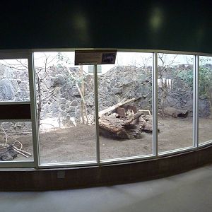 Small Animal Building - Mara Exhibit