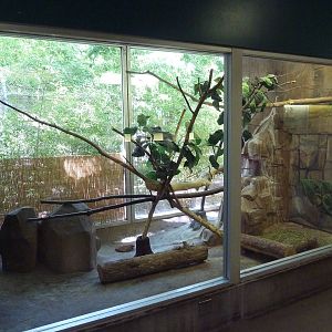 Small Animal Building - Arabian Wild Cat Exhibit