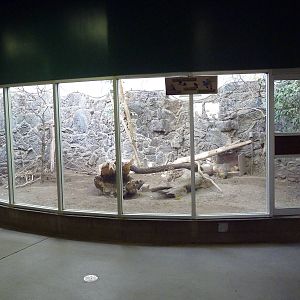 Small Animal Building - Mara Exhibit
