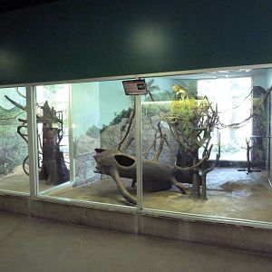 Small Animal Building - Squirrel Monkey Exhibit