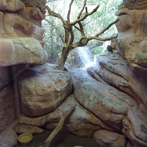Small Animal Building - Burrowing Owl Exhibit