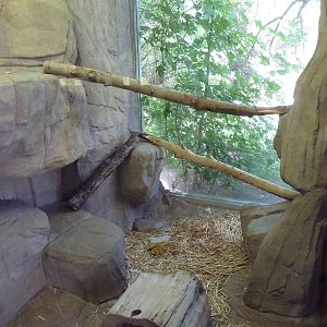 Small Animal Building - Western Spotted Skunk Exhibit