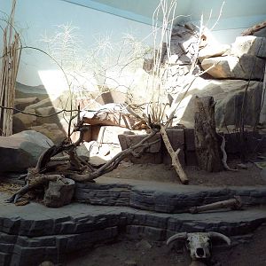 Small Animal Building - Mixed-Species Exhibit