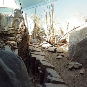 Small Animal Building - Mixed-Species Exhibit