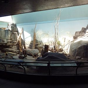 Small Animal Building - Mixed-Species Exhibit