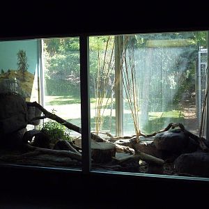 Small Animal Building - Black-Footed Cat Exhibit