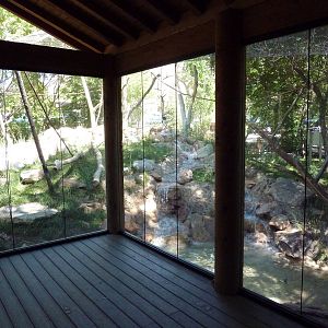 Primate Forest - Colobus Monkey Exhibit