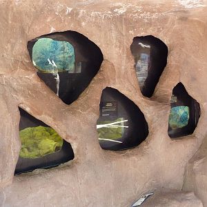 Discovery Land Children's Area - Desert Canyon