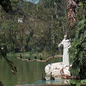 ST. Francis de Assis statue and avian friends Zoologico do Sao Paulo