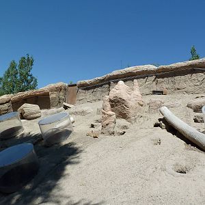 Discovery Land Children's Area - Prairie Dog Exhibit