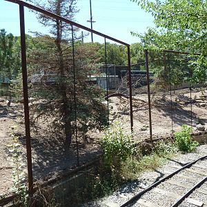 Discovery Land Children's Area - Chacoan Peccary Exhibit