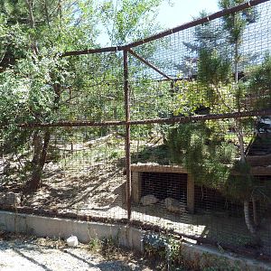 Discovery Land Children's Area - Cougar Exhibit