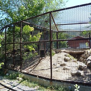 Discovery Land Children's Area - Cougar Exhibit
