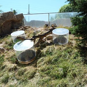 Discovery Land Children's Area - Skunk Exhibit