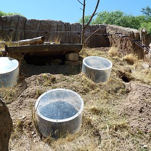 Discovery Land Children's Area - Rabbit Exhibit