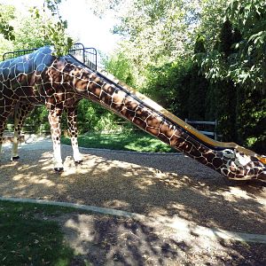 Giraffe Slide